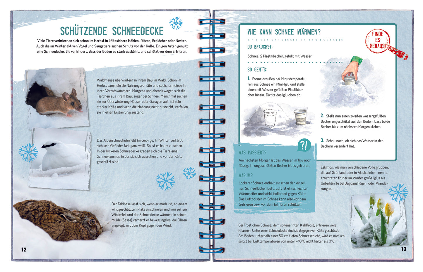Das große Winterbuch